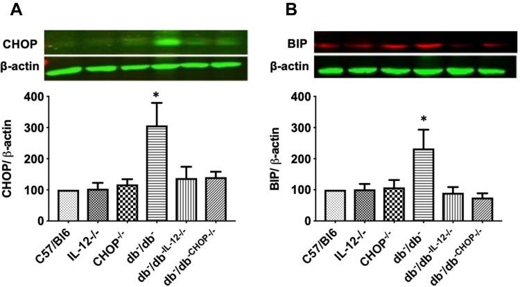 https://cdn.ncbi.nlm.nih.gov/pmc/blobs/c81f/9440700/84052f2c327a/DMSO-15-2633-g0004.jpg