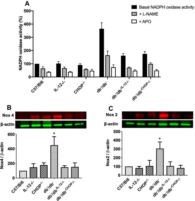 https://cdn.ncbi.nlm.nih.gov/pmc/blobs/c81f/9440700/f6ad20c41853/DMSO-15-2633-g0005.jpg