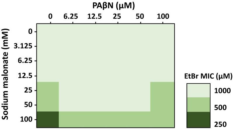 https://cdn.ncbi.nlm.nih.gov/pmc/blobs/c81f/9781404/188404ef230d/pathogens-11-01409-g003.jpg