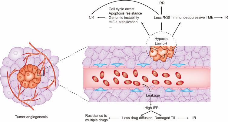https://cdn.ncbi.nlm.nih.gov/pmc/blobs/c821/7699985/3cc5eff04a60/OTT-13-12113-g0002.jpg