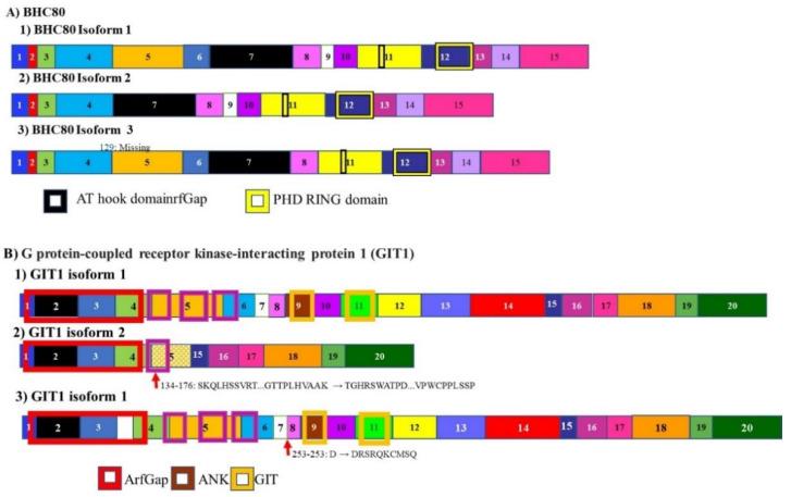 https://cdn.ncbi.nlm.nih.gov/pmc/blobs/c822/8125307/983e0eb75b02/cancers-13-02138-g008.jpg