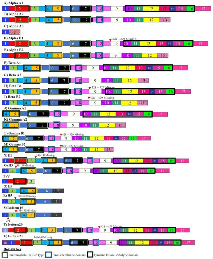 https://cdn.ncbi.nlm.nih.gov/pmc/blobs/c822/8125307/e0fc5e010a9b/cancers-13-02138-g004.jpg