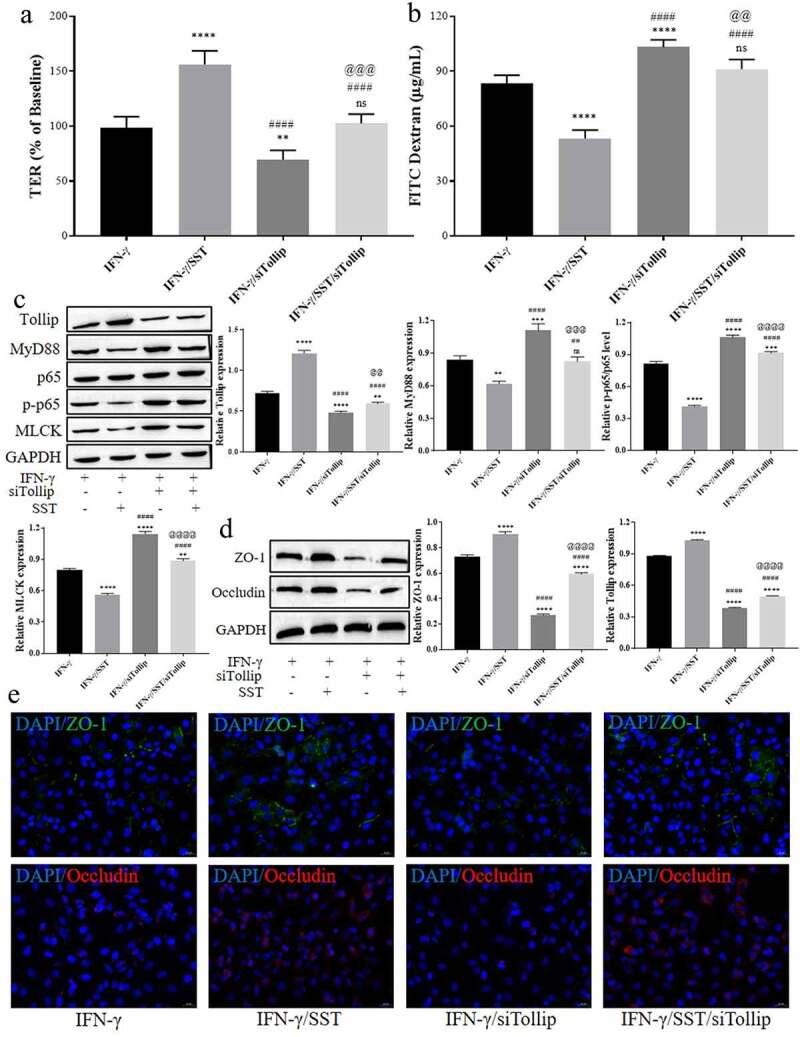 https://cdn.ncbi.nlm.nih.gov/pmc/blobs/c822/8973595/78c58cea6fcf/KBIE_A_2038450_F0004_OC.jpg
