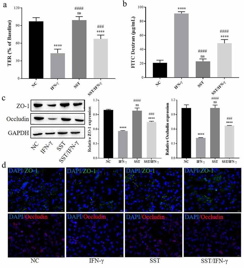 https://cdn.ncbi.nlm.nih.gov/pmc/blobs/c822/8973595/ef7d0cae893e/KBIE_A_2038450_F0002_OC.jpg