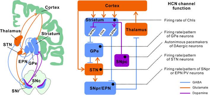 https://cdn.ncbi.nlm.nih.gov/pmc/blobs/c823/11072141/10521e827ecc/18_2024_5163_Fig2_HTML.jpg