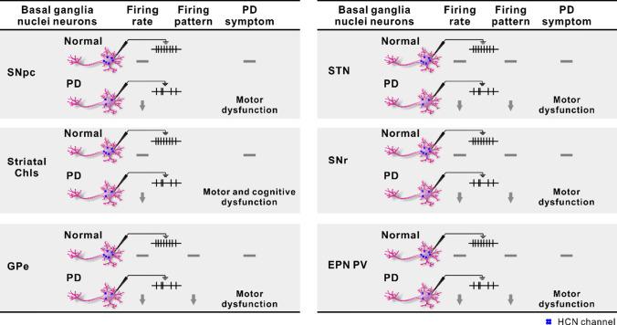 https://cdn.ncbi.nlm.nih.gov/pmc/blobs/c823/11072141/3a11ab880c4b/18_2024_5163_Fig3_HTML.jpg