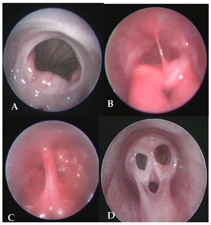 https://cdn.ncbi.nlm.nih.gov/pmc/blobs/c823/12298178/4a719d5a61fb/vetsci-12-00663-g001.jpg