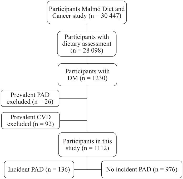 https://cdn.ncbi.nlm.nih.gov/pmc/blobs/c823/6893928/3f3e69d2d5f4/10.1177_2042018819890532-fig1.jpg