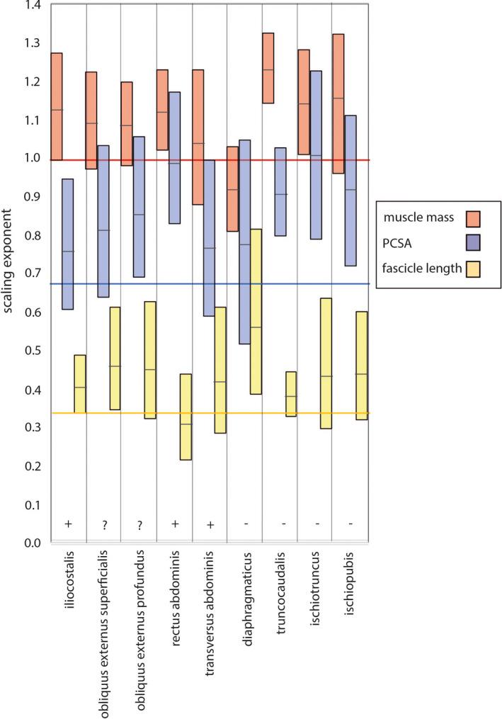 https://cdn.ncbi.nlm.nih.gov/pmc/blobs/c828/8602021/8e355d2e4995/JOA-239-1273-g001.jpg