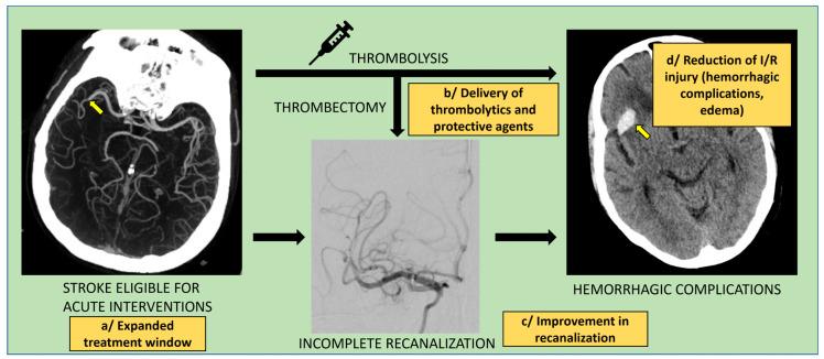 https://cdn.ncbi.nlm.nih.gov/pmc/blobs/c82b/10045028/fe5f3bb762de/biomedicines-11-00780-g004.jpg