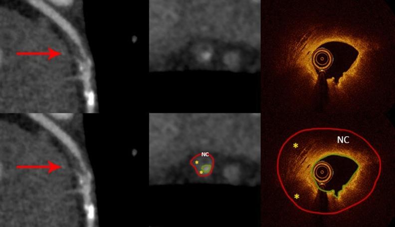https://cdn.ncbi.nlm.nih.gov/pmc/blobs/c82c/10363114/35fe0ca576a4/41598_2023_38675_Fig6_HTML.jpg