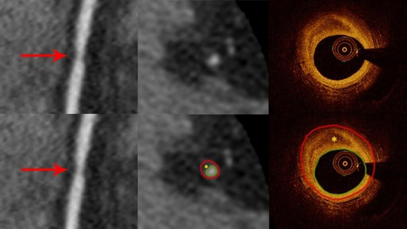 https://cdn.ncbi.nlm.nih.gov/pmc/blobs/c82c/10363114/b49a00ec244a/41598_2023_38675_Fig4_HTML.jpg