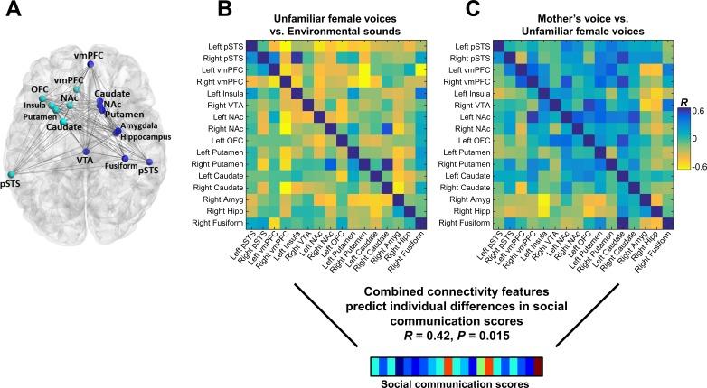 https://cdn.ncbi.nlm.nih.gov/pmc/blobs/c82d/6391069/32f3f1a2e9b9/elife-39906-fig5.jpg