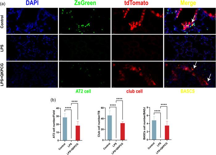 https://cdn.ncbi.nlm.nih.gov/pmc/blobs/c82d/9500488/dee349c482f6/PUL2-12-e12138-g001.jpg