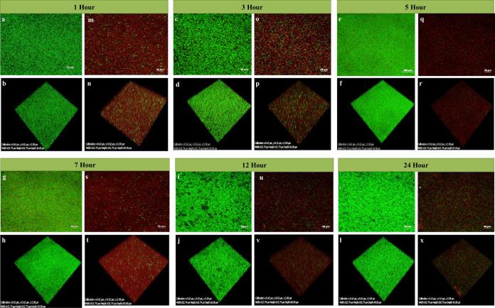 https://cdn.ncbi.nlm.nih.gov/pmc/blobs/c82d/9769620/29939320326b/spectrum.01994-22-f009.jpg
