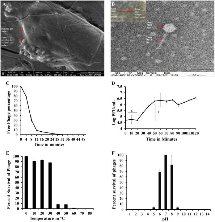 https://cdn.ncbi.nlm.nih.gov/pmc/blobs/c82d/9769620/d07403dfd2c3/spectrum.01994-22-f001.jpg