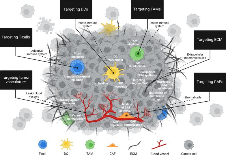 https://cdn.ncbi.nlm.nih.gov/pmc/blobs/c82f/11733683/2d6710c109ca/13045_2024_1634_Fig3_HTML.jpg