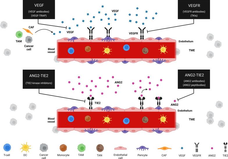 https://cdn.ncbi.nlm.nih.gov/pmc/blobs/c82f/11733683/c3eb033f52d8/13045_2024_1634_Fig10_HTML.jpg