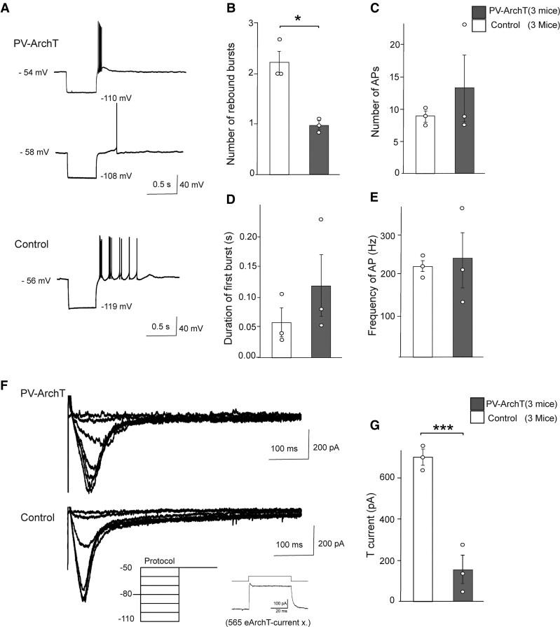 https://cdn.ncbi.nlm.nih.gov/pmc/blobs/c834/8887905/65c7b6877ec2/fcac010f6.jpg