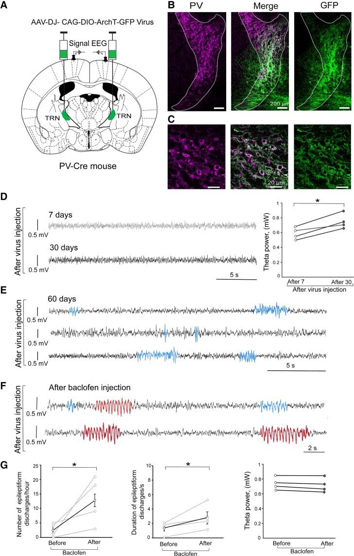 https://cdn.ncbi.nlm.nih.gov/pmc/blobs/c834/8887905/aa7161dd1916/fcac010f5.jpg