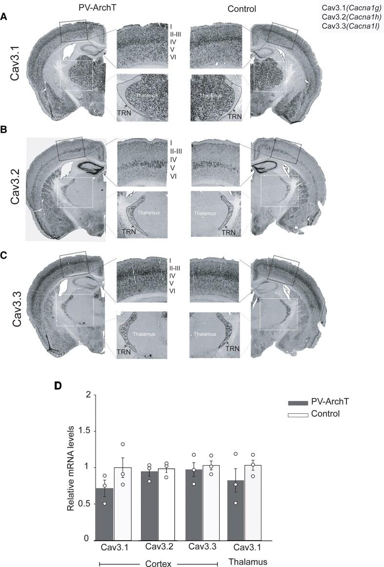 https://cdn.ncbi.nlm.nih.gov/pmc/blobs/c834/8887905/e1c16f8f7d3d/fcac010f7.jpg