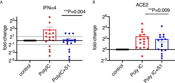 https://cdn.ncbi.nlm.nih.gov/pmc/blobs/c838/8213020/12afe2b9f49c/fimmu-12-658428-g004.jpg