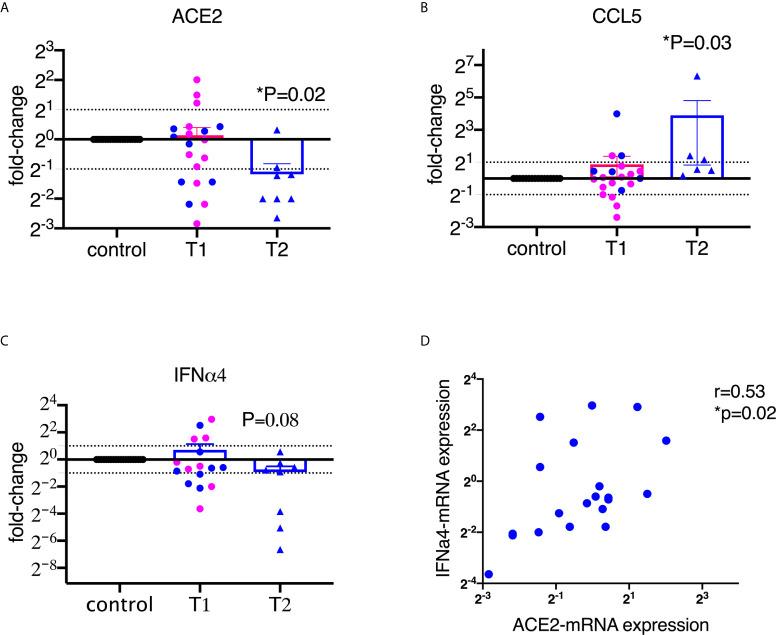 https://cdn.ncbi.nlm.nih.gov/pmc/blobs/c838/8213020/4bf61d6a984e/fimmu-12-658428-g001.jpg