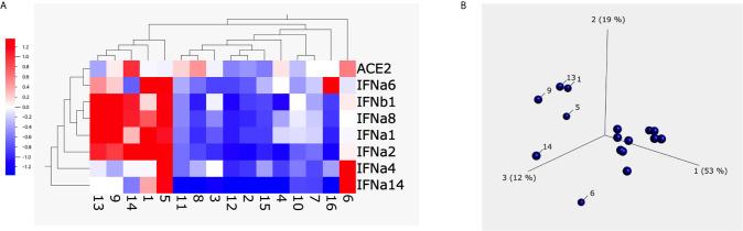 https://cdn.ncbi.nlm.nih.gov/pmc/blobs/c838/8213020/6dbfcc77af57/fimmu-12-658428-g005.jpg
