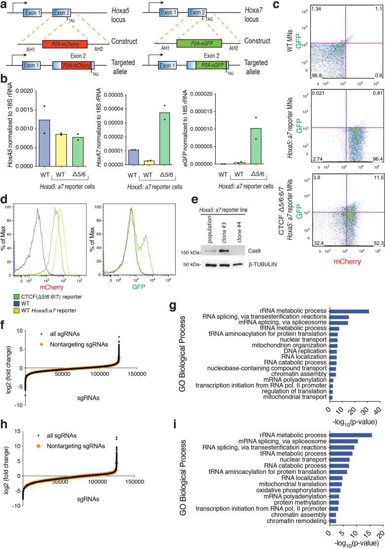 https://cdn.ncbi.nlm.nih.gov/pmc/blobs/c839/8837555/5f09bce1a045/41588_2021_1008_Fig8_ESM.jpg