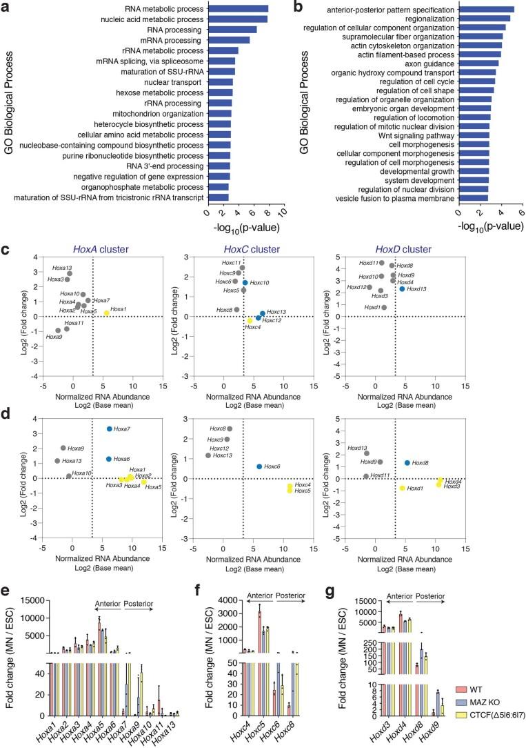 https://cdn.ncbi.nlm.nih.gov/pmc/blobs/c839/8837555/9bd6ff6cd26c/41588_2021_1008_Fig11_ESM.jpg