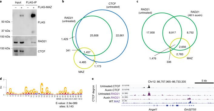 https://cdn.ncbi.nlm.nih.gov/pmc/blobs/c839/8837555/b4b4e61a879e/41588_2021_1008_Fig5_HTML.jpg