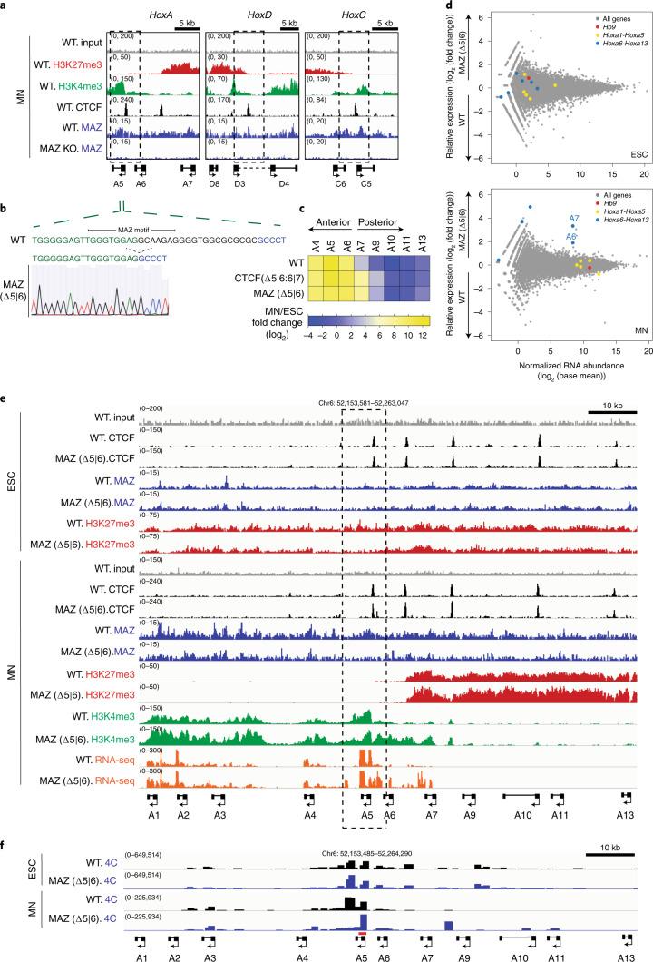 https://cdn.ncbi.nlm.nih.gov/pmc/blobs/c839/8837555/b61639c1bfb7/41588_2021_1008_Fig3_HTML.jpg