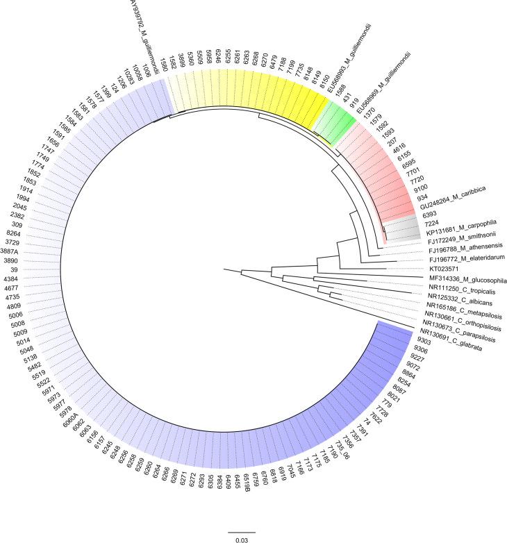 https://cdn.ncbi.nlm.nih.gov/pmc/blobs/c83c/10580822/ba0236493079/spectrum.05115-22.f002.jpg