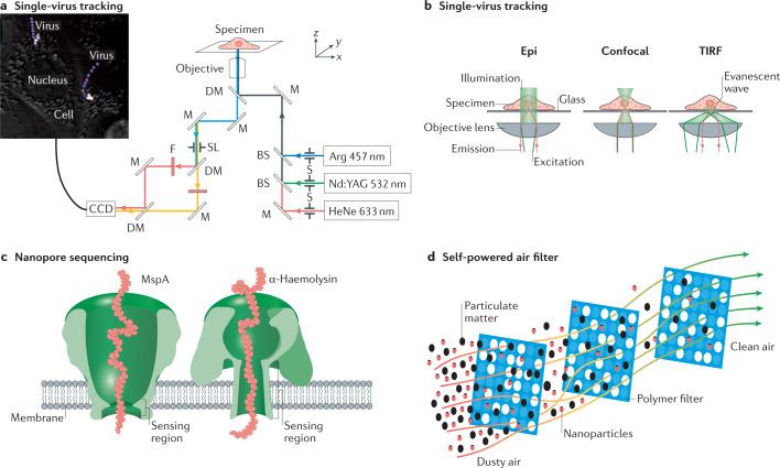 https://cdn.ncbi.nlm.nih.gov/pmc/blobs/c83c/7556605/07800c374be7/41578_2020_247_Fig2_HTML.jpg