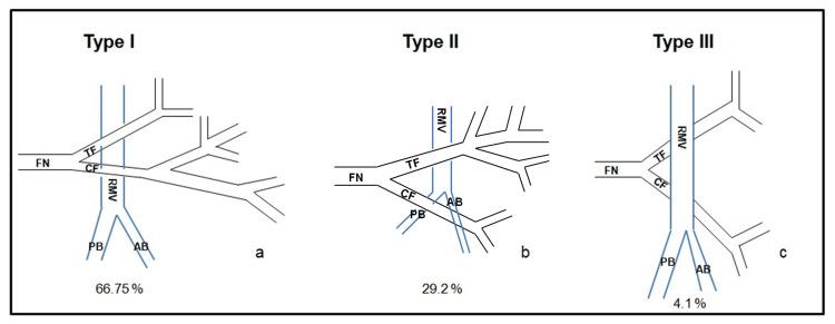 https://cdn.ncbi.nlm.nih.gov/pmc/blobs/c840/11146465/75d4662399c0/cureus-0016-00000059637-i01.jpg