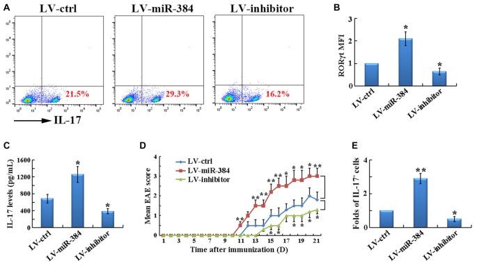 https://cdn.ncbi.nlm.nih.gov/pmc/blobs/c841/5368215/6a65a804b039/fncel-11-00088-g0004.jpg