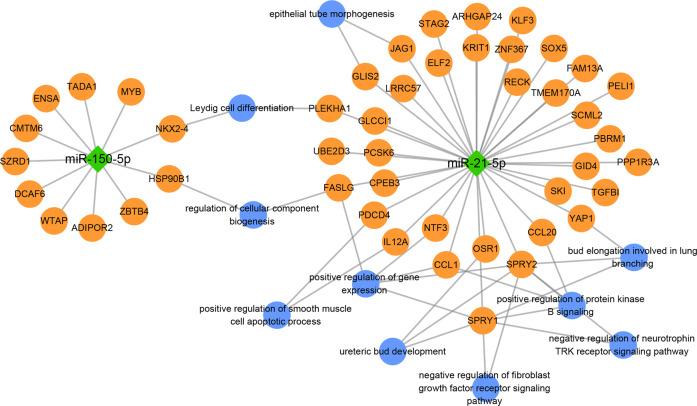 https://cdn.ncbi.nlm.nih.gov/pmc/blobs/c844/9867758/c7b75e7adeaa/41420_2023_1328_Fig5_HTML.jpg