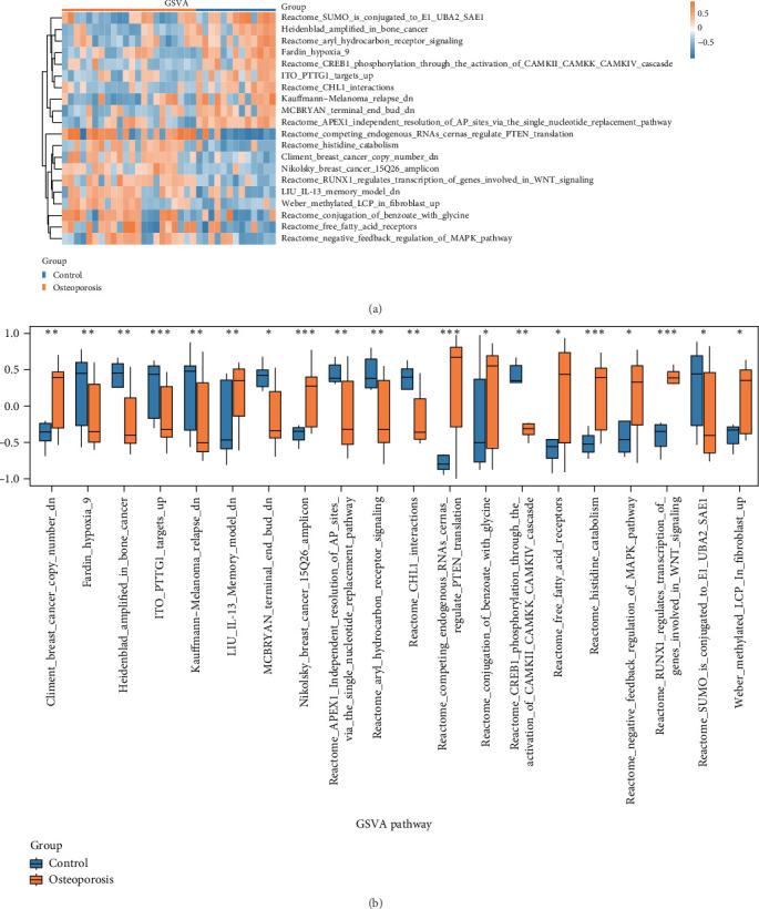 https://cdn.ncbi.nlm.nih.gov/pmc/blobs/c848/12413945/c35a4fdca2dc/MI2025-6726771.003.jpg