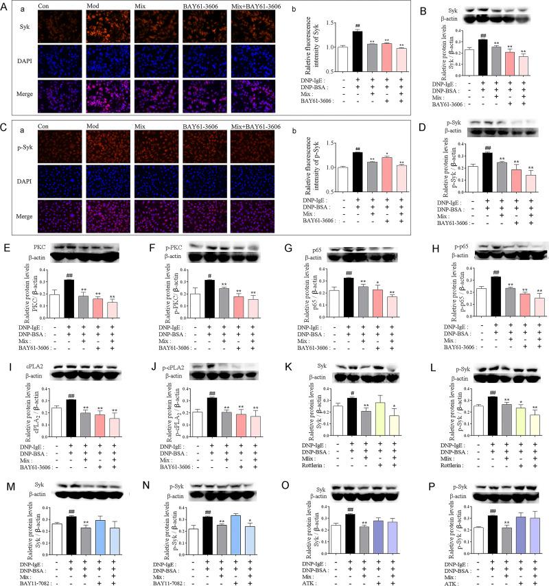 https://cdn.ncbi.nlm.nih.gov/pmc/blobs/c848/7671475/dc7b392d4311/JIR-13-897-g0007.jpg