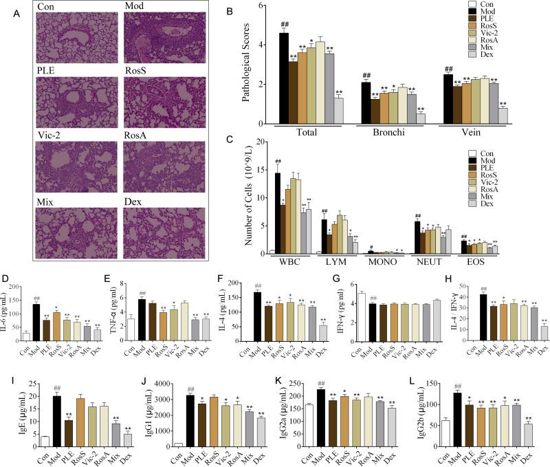 https://cdn.ncbi.nlm.nih.gov/pmc/blobs/c848/7671475/eabecfd25c08/JIR-13-897-g0002.jpg