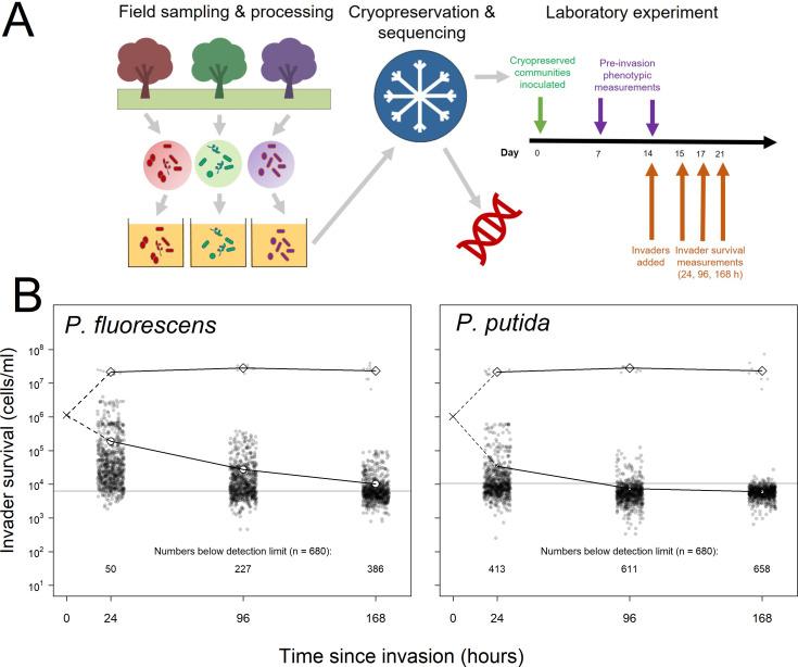 https://cdn.ncbi.nlm.nih.gov/pmc/blobs/c848/8523168/d1a5b65cc8df/elife-71811-fig1.jpg