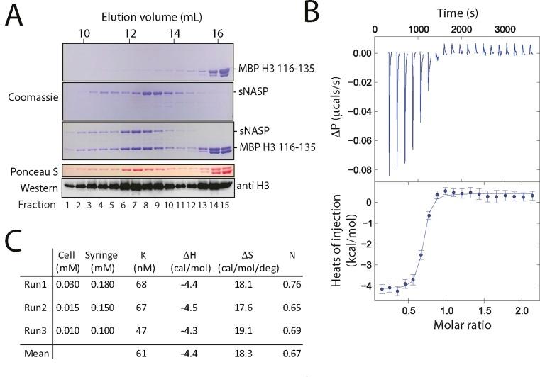 https://cdn.ncbi.nlm.nih.gov/pmc/blobs/c84a/4838342/34f7af0b4fe2/gkv1372fig2.jpg