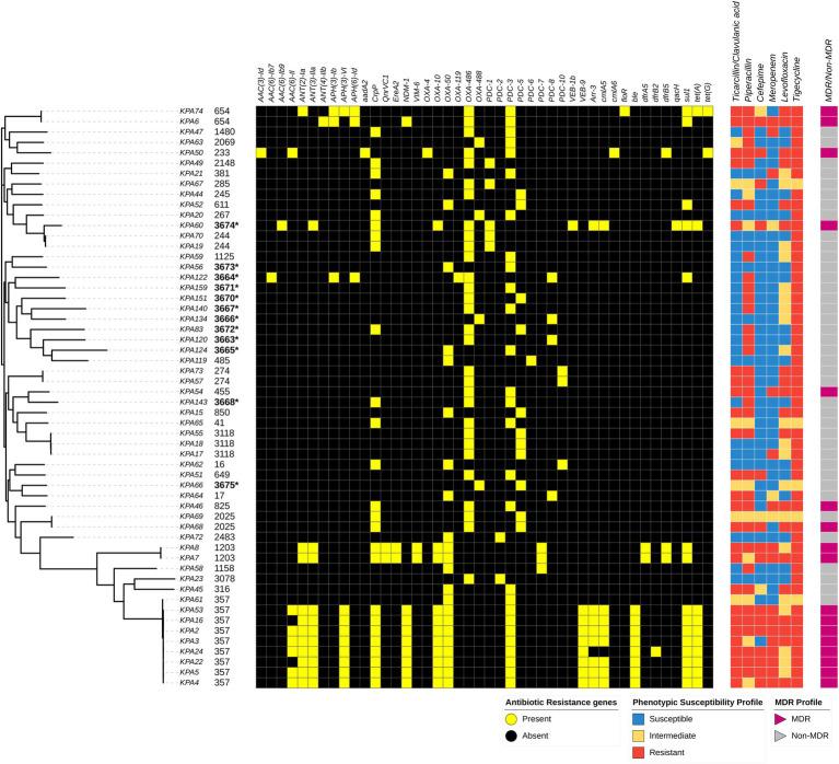 https://cdn.ncbi.nlm.nih.gov/pmc/blobs/c84a/8964364/ed64b9bddee6/fmicb-13-835403-g003.jpg