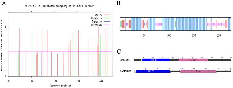 https://cdn.ncbi.nlm.nih.gov/pmc/blobs/c84c/12078277/02b70ead437d/fpls-16-1514134-g001.jpg
