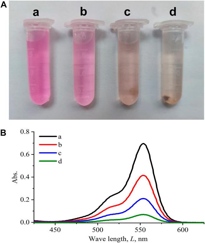 https://cdn.ncbi.nlm.nih.gov/pmc/blobs/c84d/9247352/83371d34ebcb/fbioe-10-903219-g006.jpg