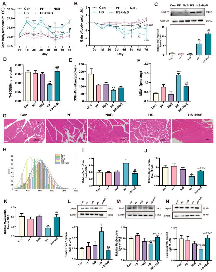 https://cdn.ncbi.nlm.nih.gov/pmc/blobs/c84e/11858507/31606ee1b52d/nutrients-17-00696-g004.jpg