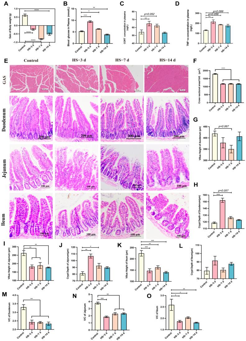 https://cdn.ncbi.nlm.nih.gov/pmc/blobs/c84e/11858507/8e813f22dc66/nutrients-17-00696-g002.jpg