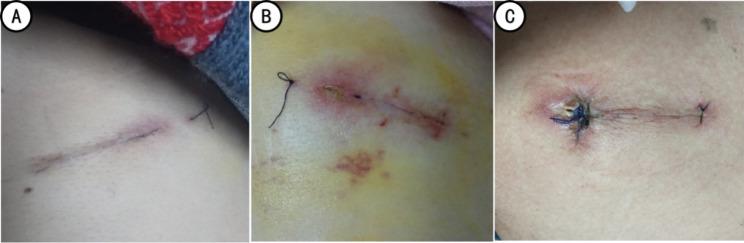 https://cdn.ncbi.nlm.nih.gov/pmc/blobs/c851/10061984/162da86f6dd6/12893_2023_1952_Fig7_HTML.jpg