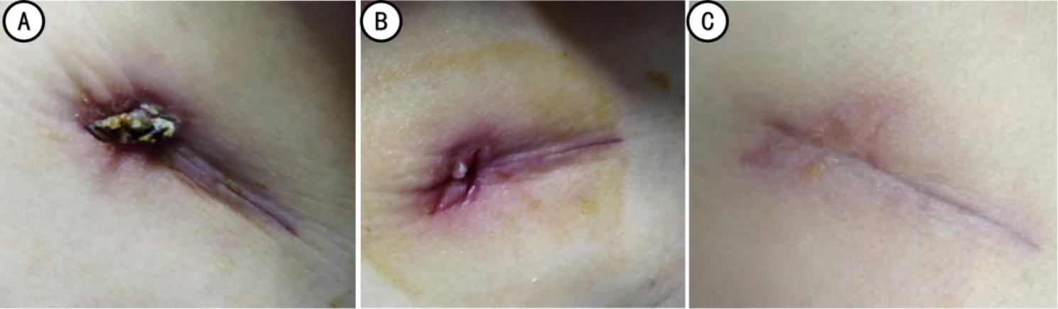 https://cdn.ncbi.nlm.nih.gov/pmc/blobs/c851/10061984/2e80e3e504d2/12893_2023_1952_Fig5_HTML.jpg