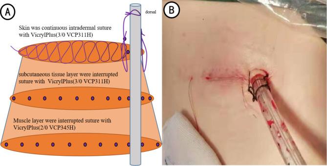 https://cdn.ncbi.nlm.nih.gov/pmc/blobs/c851/10061984/7b76a2ae430c/12893_2023_1952_Fig2_HTML.jpg